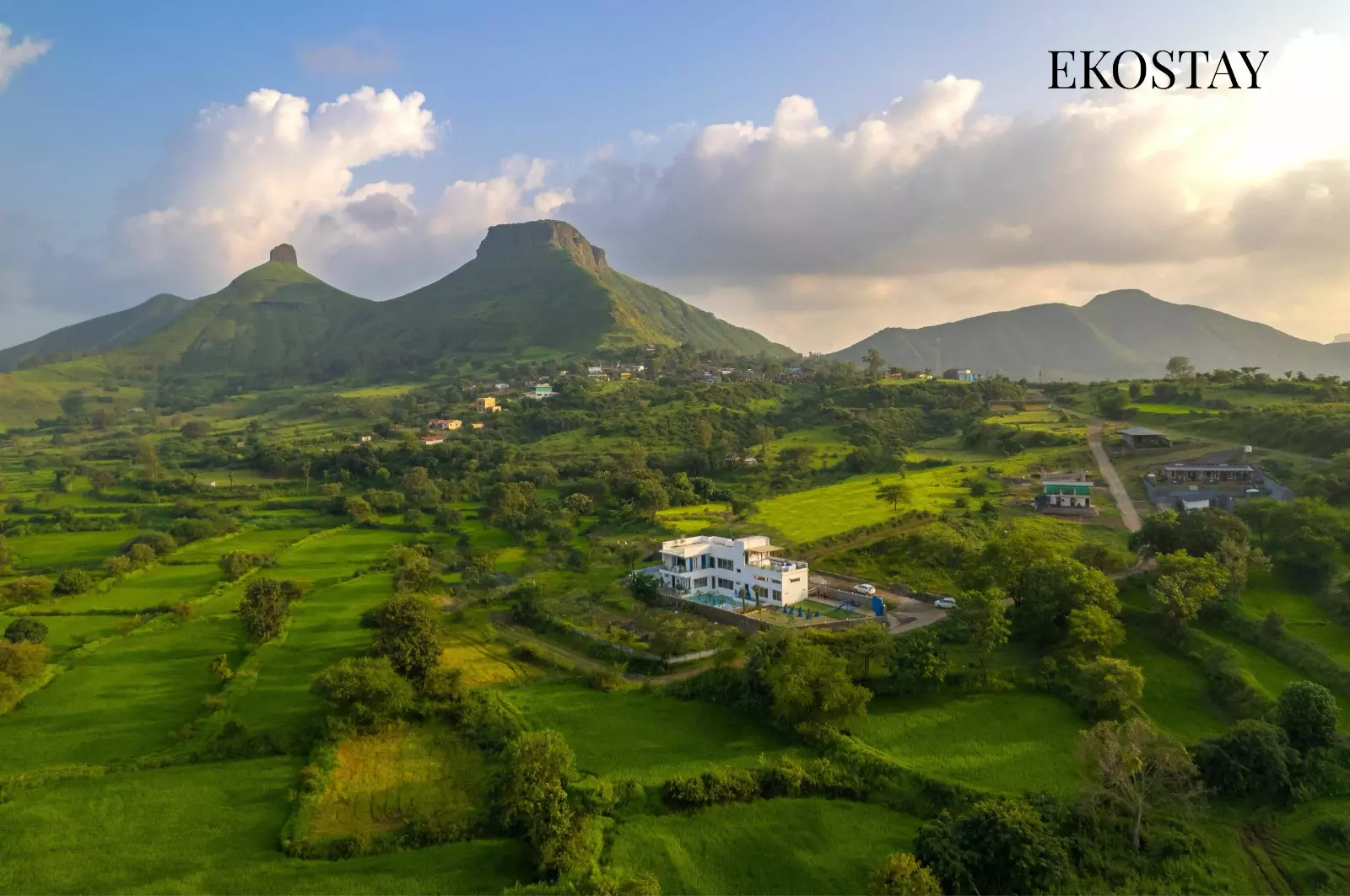 66e2e8ec4c710_AnyConv